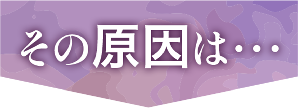 その原因は・・・